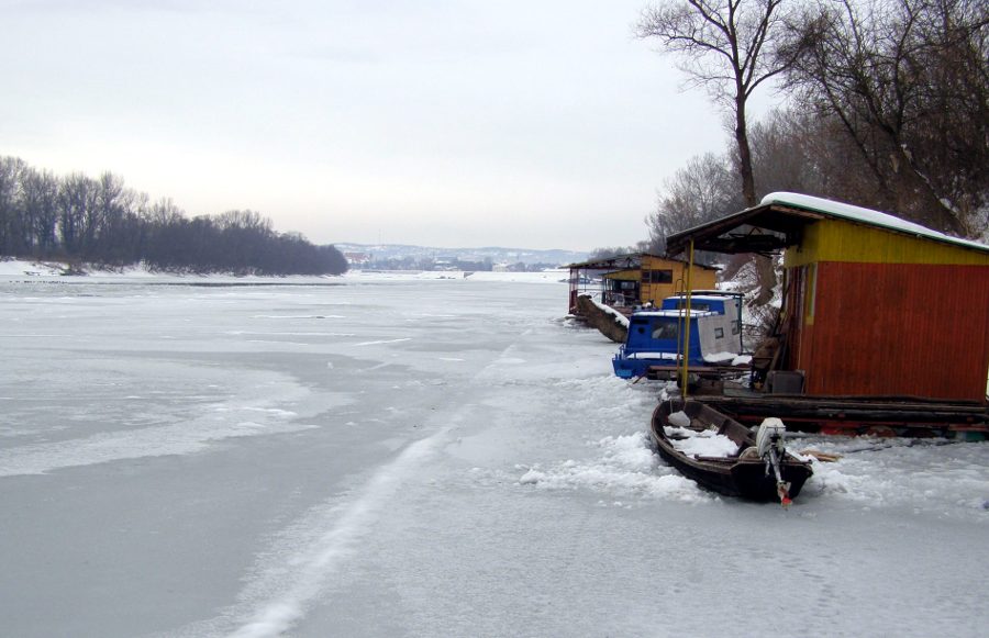 Zale�ena Sava 2012